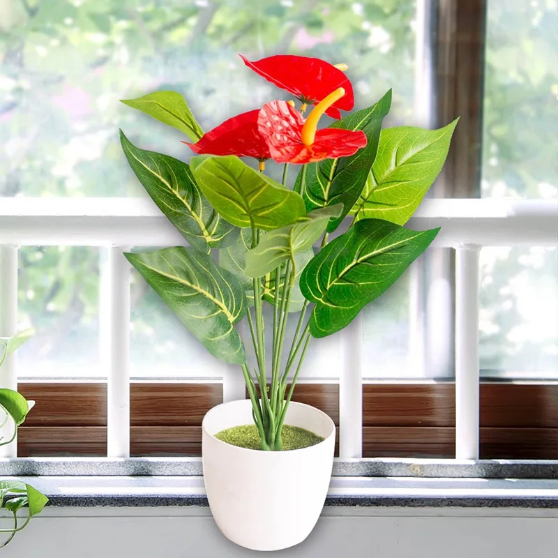 Редкий цветок антуриума Бонсай балкон Горшечное растение бонсай Красный