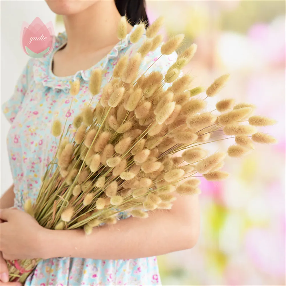 Натуральные сушеные цветы зайцехвост трава эвкалипт букет красочных цветов Lagurus