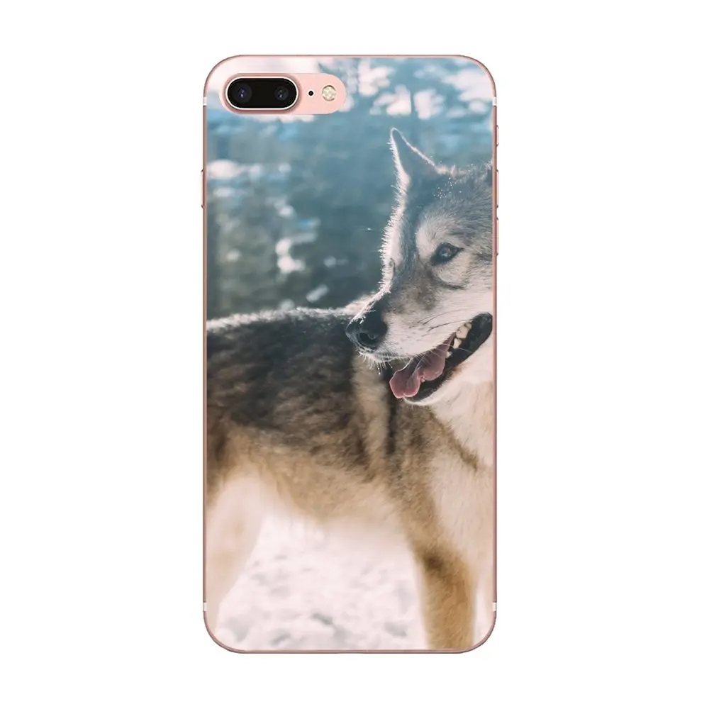 Чехол волк на снегу идеально подходит для Apple iPhone 4 4S 5 5C 5S SE SE2 6 6S 7 8 11 Plus Pro X XS Max XR