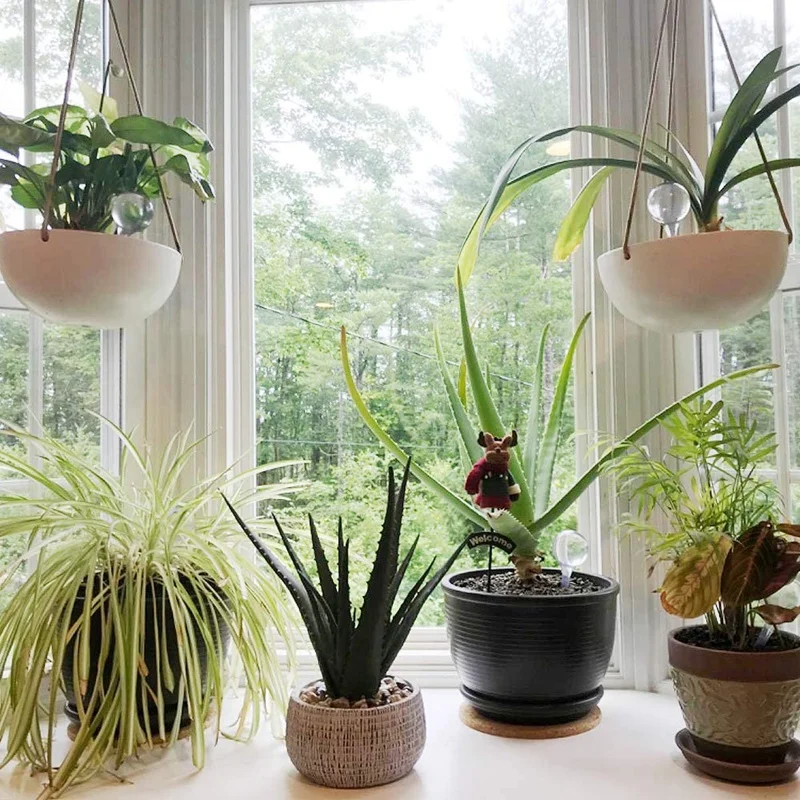 

6 Pcs Clear Plant Watering Bulbs Garden Watering Globes,Plastic Self-Watering Globes Garden Water Device for Plant