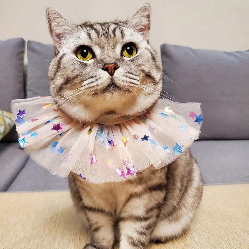 PETCIRCLE одежда с принтом в виде собак красочная пряжа нагрудник подходит маленькая