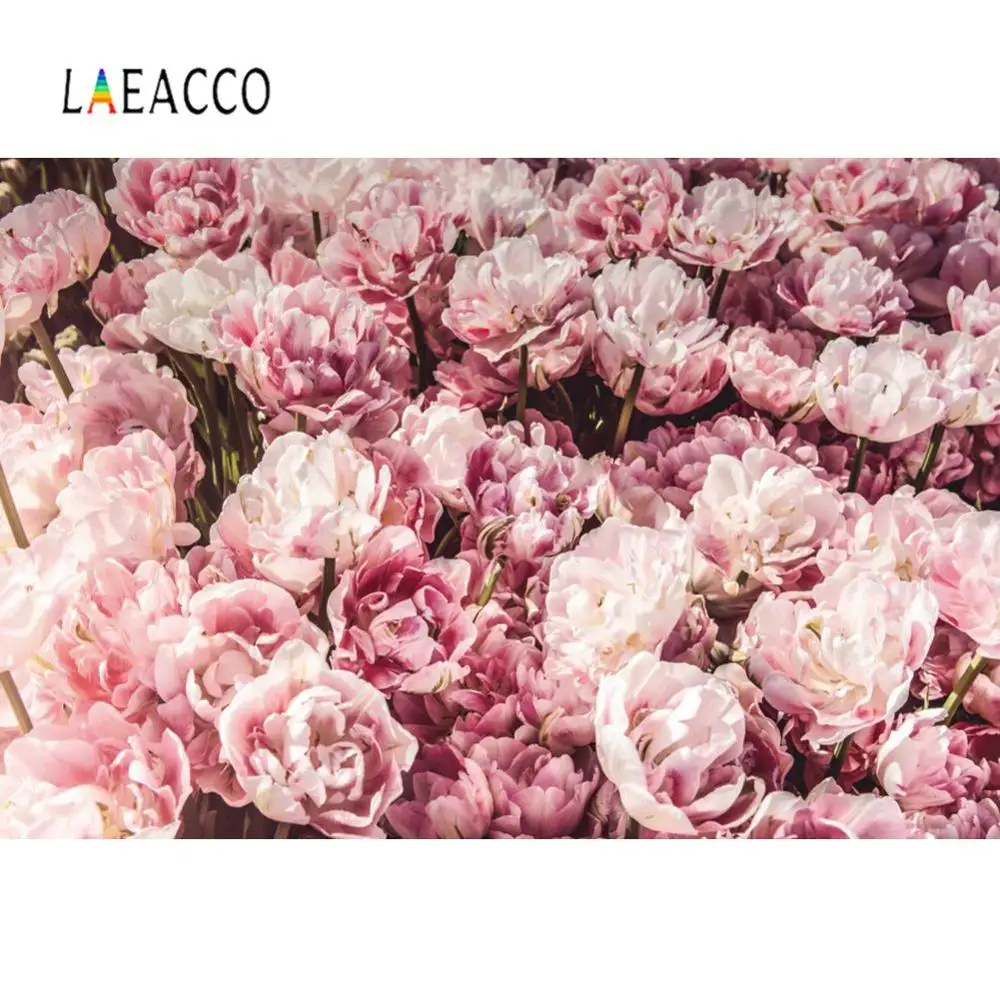 Laeacco розовый фон для фотосъемки весенние розы цветы свадьба день рождения