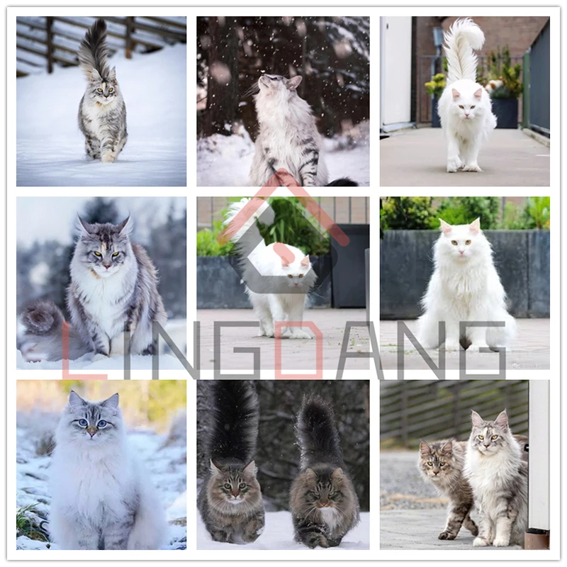 Алмазная вышивка с полным заполнением животное из мейн енота кошка Снежная сцена