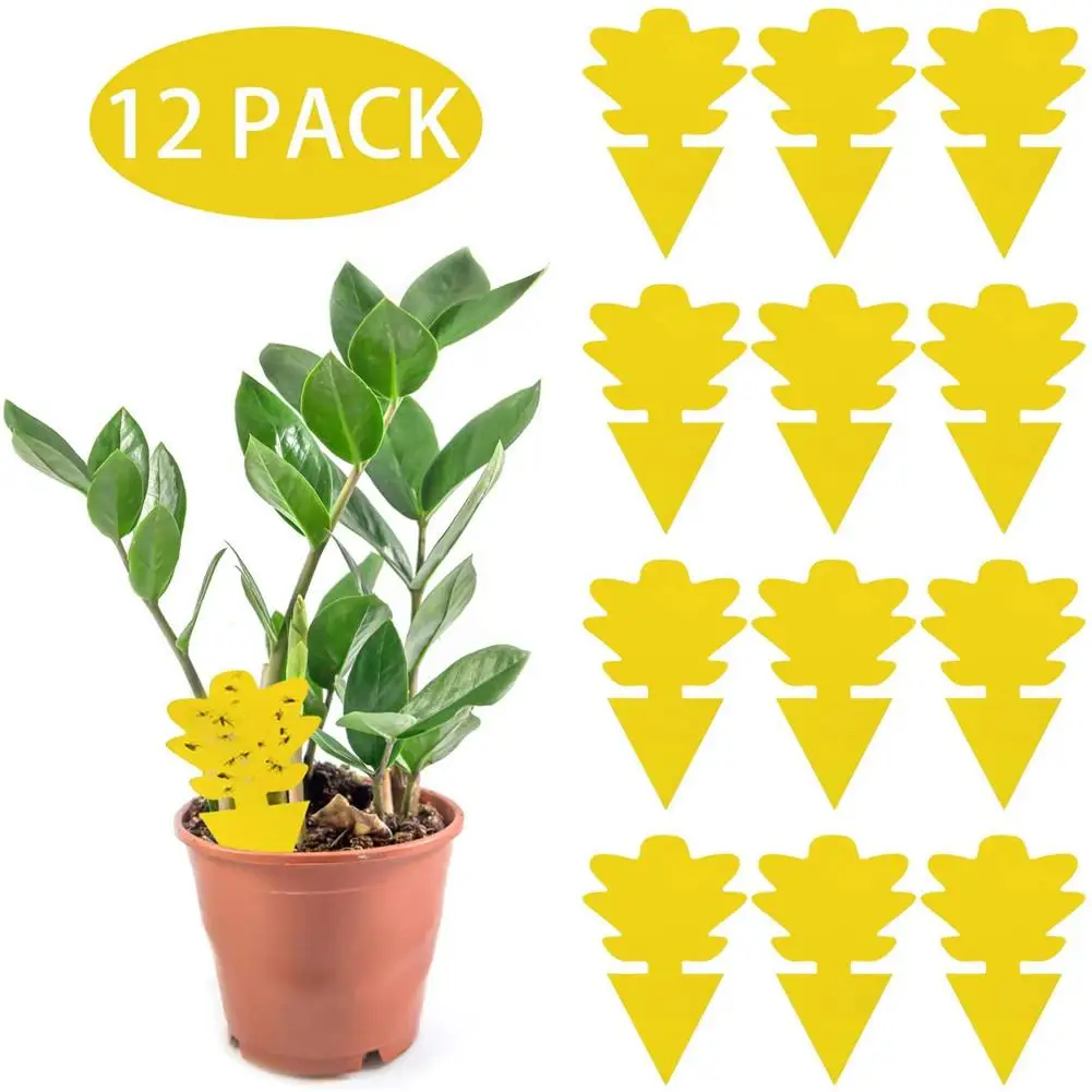 12 шт грибковых насекомых двусторонний Ловец растение для тли сильный клей