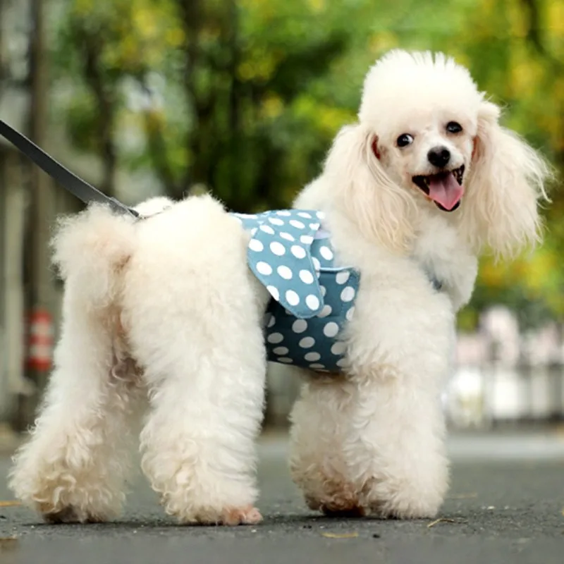 

2020 New Product Aircraft Type Anti-leakage Breathable Small Dog Chest Harness Traction Rope Camisole Style Rope Walking