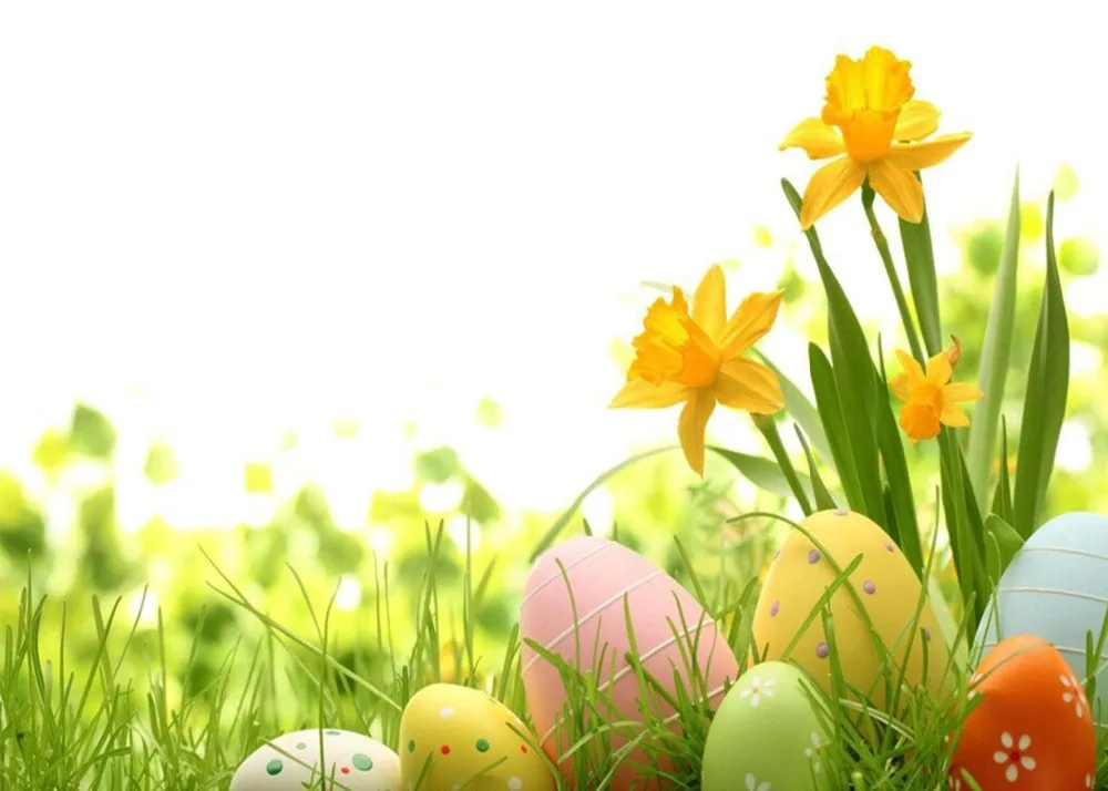 Виниловый фон Lyavshi для фотосъемки с изображением пасхальных яиц весеннего