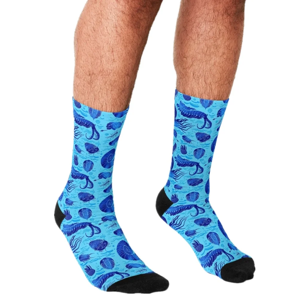 

2021 Men Socks harajuku Aesthetic Sunflower on Blue Socks Printed Happy hip hop Novelty Skateboard Crew Casual Crazy Socks