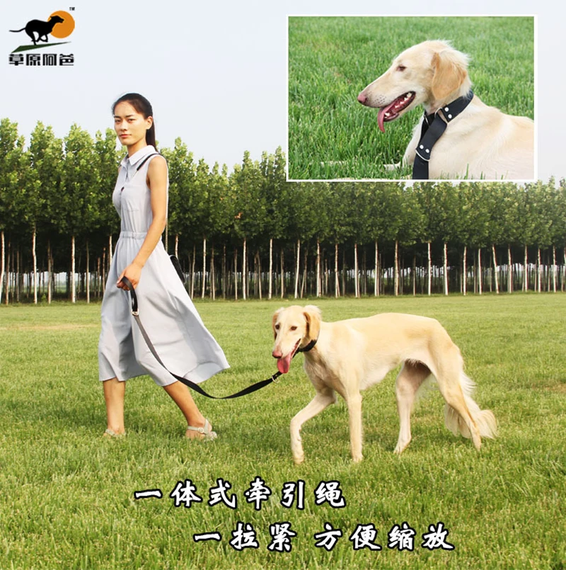 Персонализированный поводок из натуральной кожи для больших собак | Дом и сад