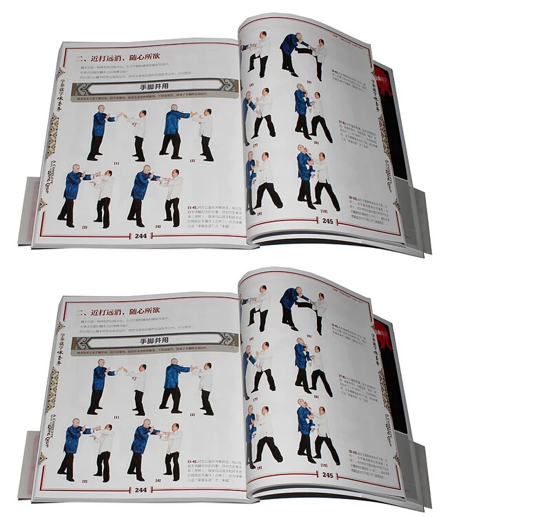 Booculchaha Wing Chun book от lian you с двумя DVD-дисками для начинающих учеников книга
