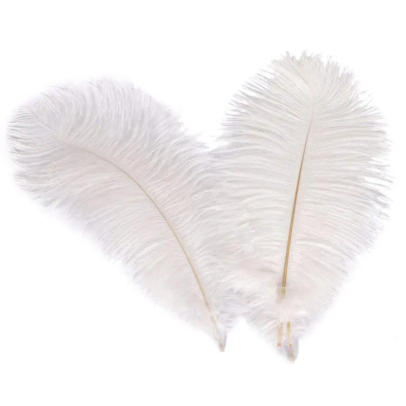 

Plumes And Feathers For Crafts Hight Quality Ostrich Feathers 10Pcs Lot 15-20CM DIY Jewelry Making Wedding Party Decoration