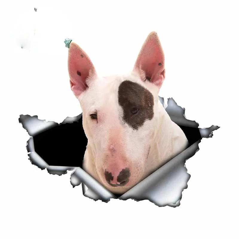 

Classic Design White Bull Terrier Car Sticker Torn Metal Decal Reflective Stickers Waterproof Styling Pet Dog KK13*6cm