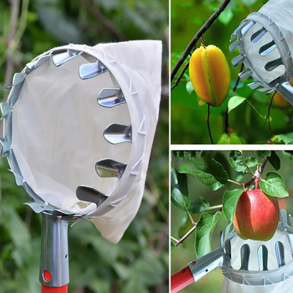 

Metal Fruit Picker Fruits Collection Picking Head Tool Gardening Apples Pears Peaches Oranges Fruits Catcher Garden Tools