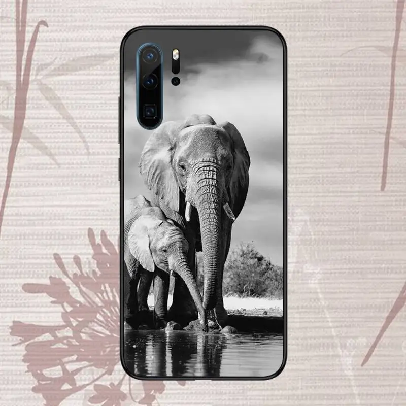 

Beautiful moon Phone Case For Huawei P20 P30 P40 lite Pro P Smart 2019 Mate 10 20 Lite Pro Nova 5t