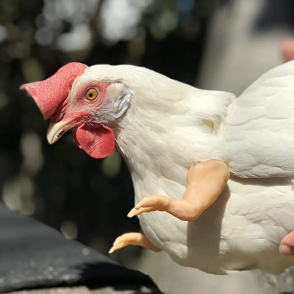 

Garden Fun Play Chicken Forelimb Toy Chicken Decoration Chicken Forelimb Decoration Dinosaur Spoof Pet Props Chicken HOT