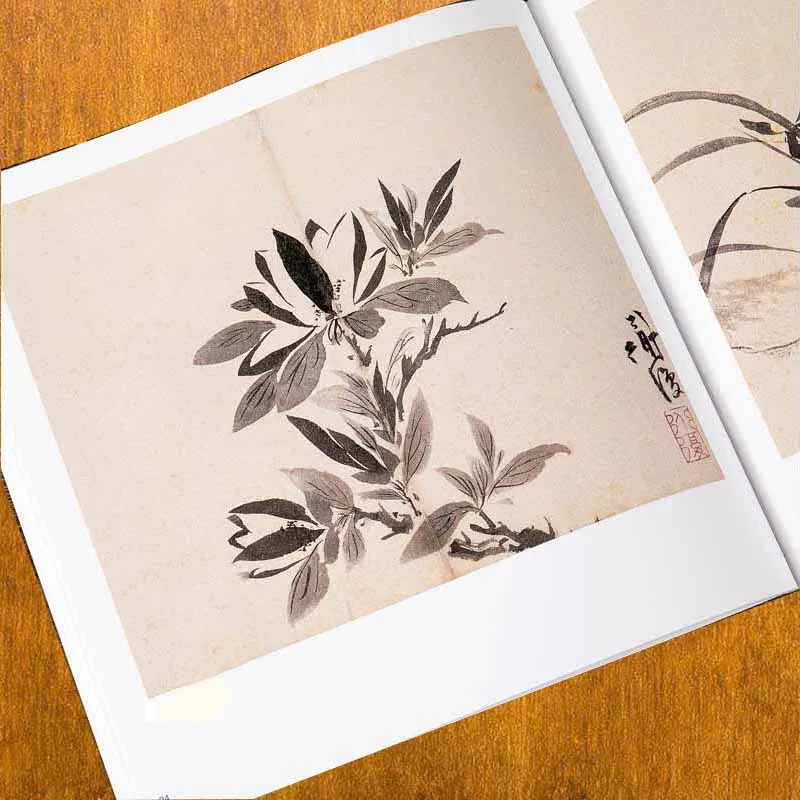 Китайские кисти для рисования Чэнь Чунь коллекция цветов каллиграфические