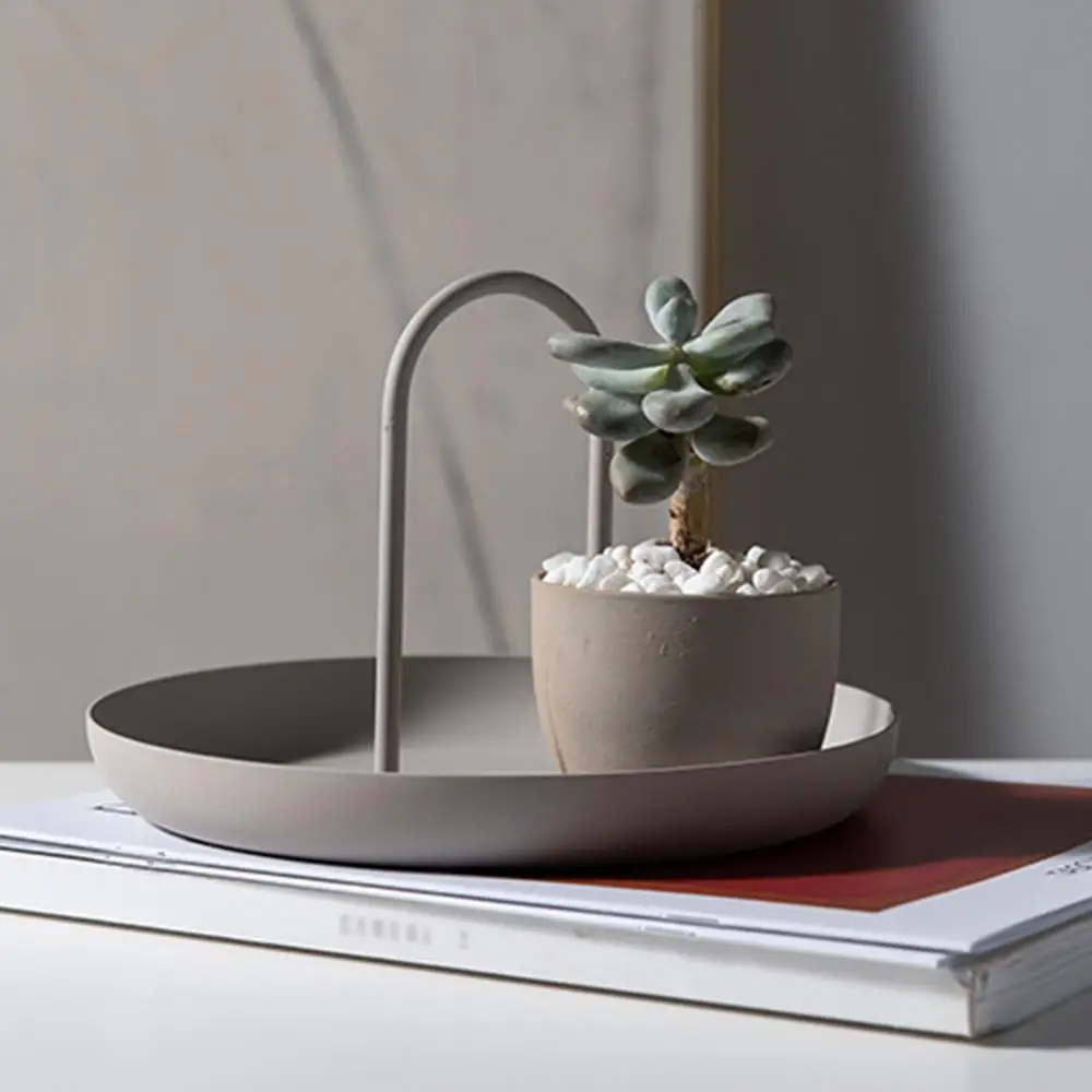 Настольный поднос в скандинавском стиле круглые пластиковые лотки для ювелирных