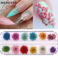 12 colors 3d nail dry flowers stickers mixed gypsophila dried flower designs nail art decorations tips manicure tool accessories