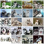 Huacan алмазная вышивка собаки мозаика животные картины из страз живопись хаски декор для дома