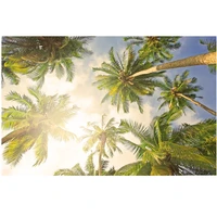 colorful print wall tapestry beach scenery tapestry m997