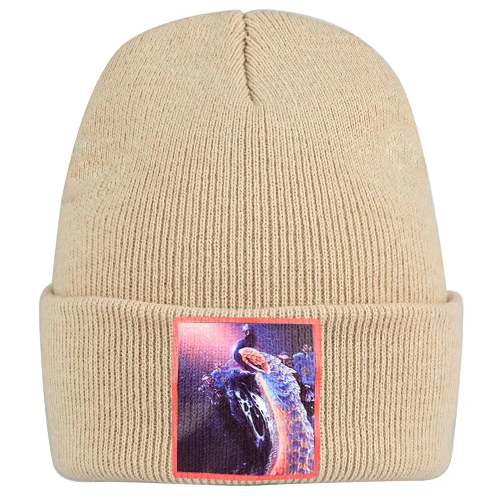 Мужская лыжная шапка Skullies теплая зимняя шапочка с павлином унисекс Толстая дыней