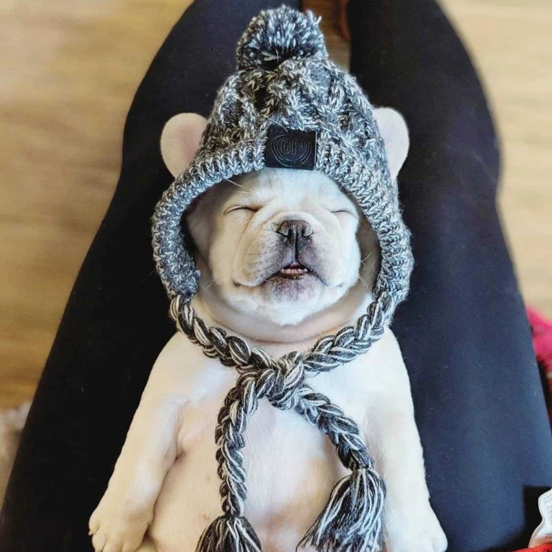 

Pet Hat Warm Windproof Cute Dress Up Cap Pet Fun Headdress Accessories For Cat Dog JY