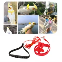 parrot flying rope xuanfeng peony strap going out to walk the bird traction elastic flying rope bird toy