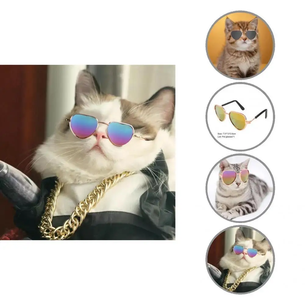 

Multicolor Fashion Pet Kitty Polarized Glasses Perfect Fitting Pet Glasses Popular for Walking