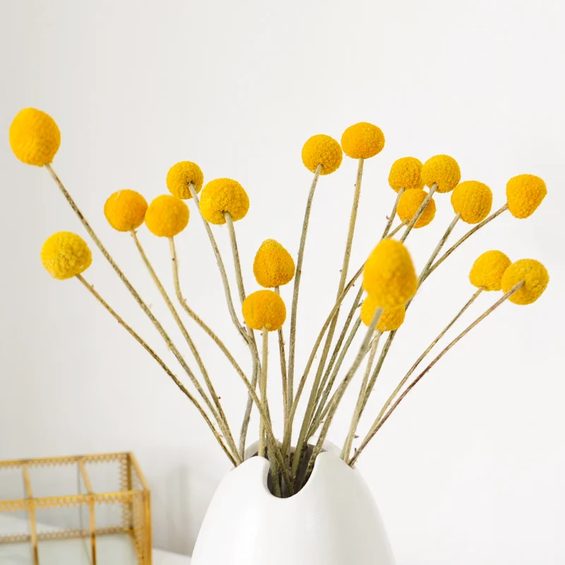 

Nordic Creative Vase Ceramic Minimalist Modern Living Room Aesthetic Room Glamour Vase Dekoracje Do Domu Home Decor DB60HP