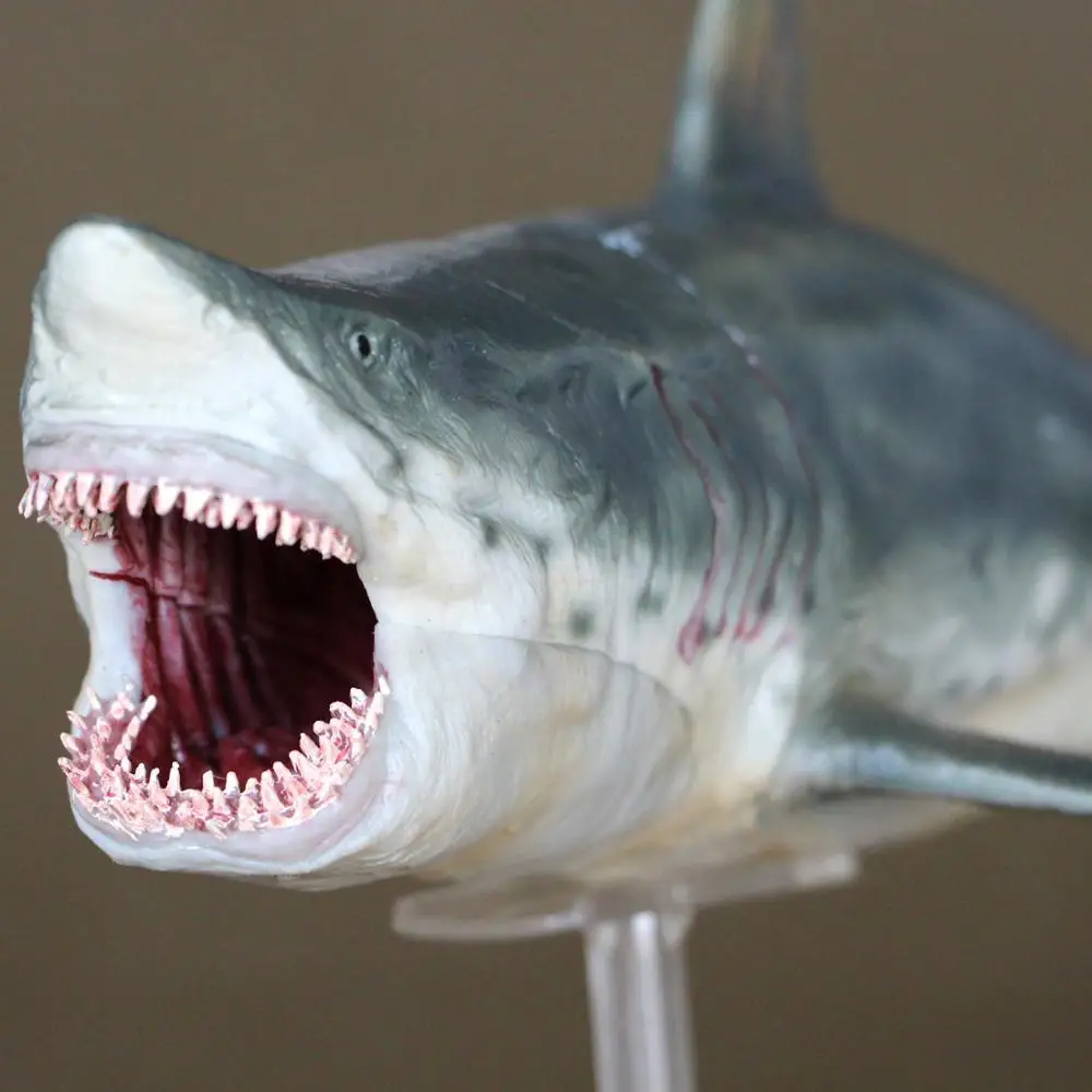

PNSO 1:35 Megalodon Model Figure Prehistoric Ocean Animal With Base Adult Kids Collection Science Education Toys Gift Home Decor