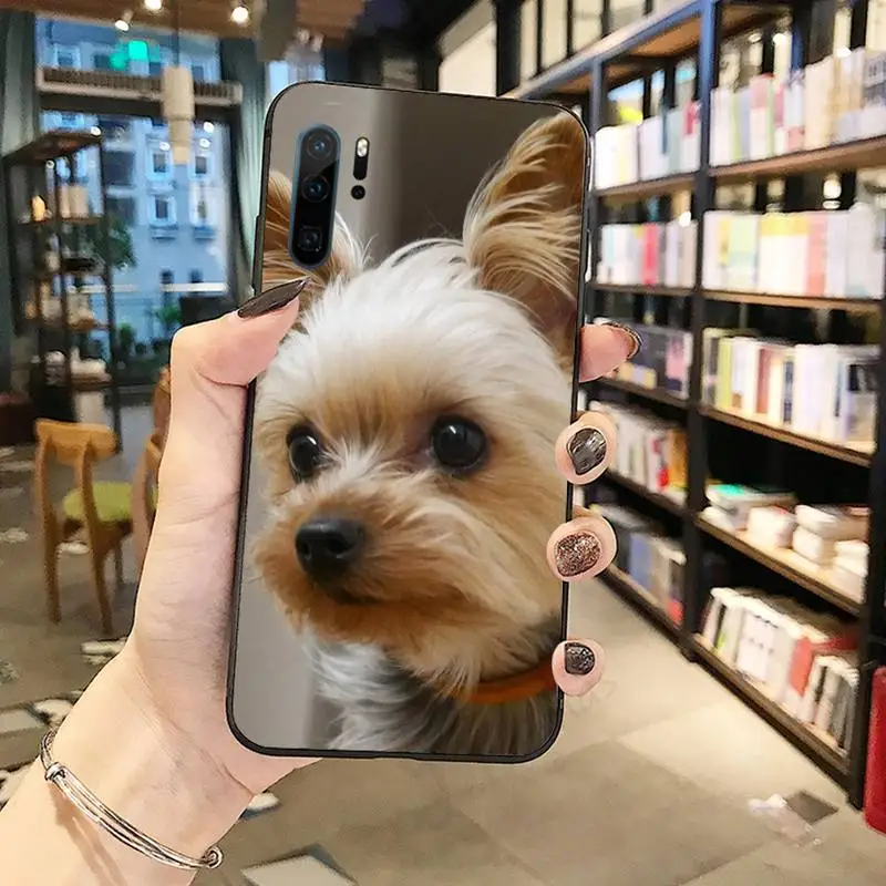 

Mini Yorkshire Terrier Phone Case Funda For Huawei P9 P10 P20 P30 Lite 2016 2017 2019 plus pro P smart