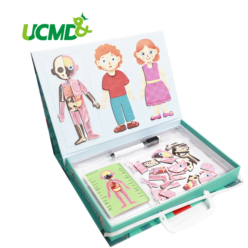 Магнитные игрушки головоломки для тела мышечная костная структура