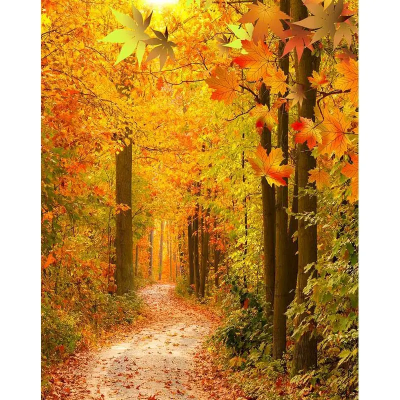 

GATYZTORY DIY Painting By Number Autumn Landscape Kits For Adults Handpainted Drawing On Canvas Home Decoration