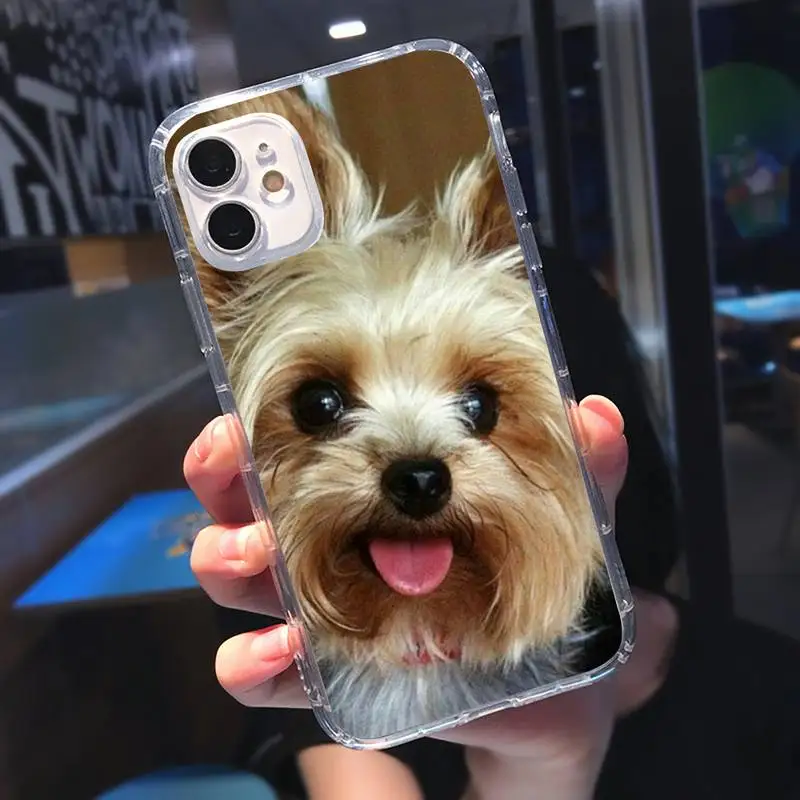 

Mini Yorkshire Terrier Phone Case Transparent soft For iphone 5 5s 5c se 6 6s 7 8 11 12 plus mini x xs xr pro max