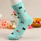 Модные новые женские милые носки в виде кошек из хлопка 5 цветов 1 пара