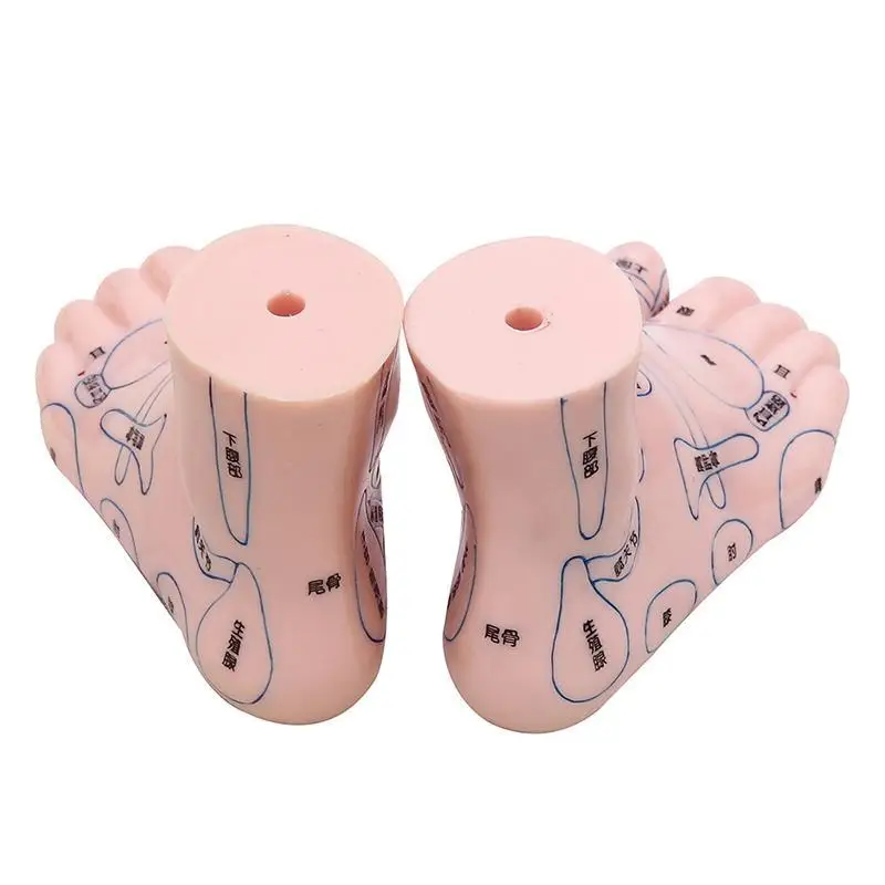 Акупунктурная точечная модель для ног акупунктурная и китайская медицинская