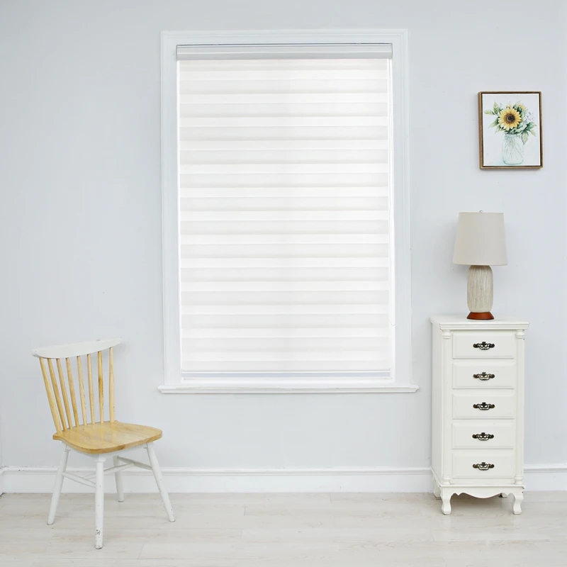 Зебровые жалюзи Горизонтальное окно оттенок двухслойные рулонные оконные