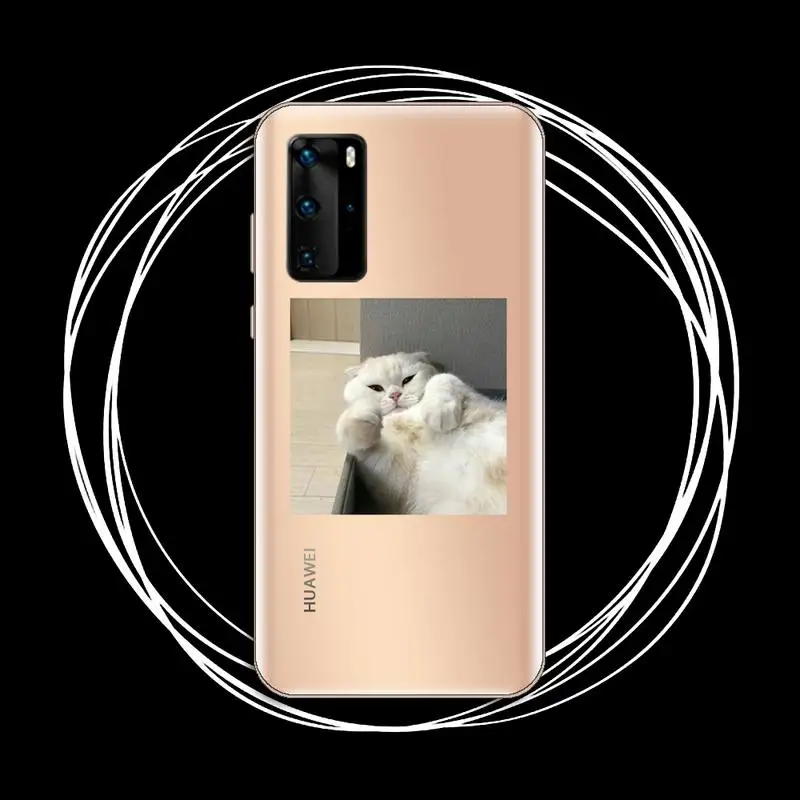 

Cute animal cat aesthetics Phone Case Transparent for Huawei P honor 8 10i 20 30 40 smart 2019