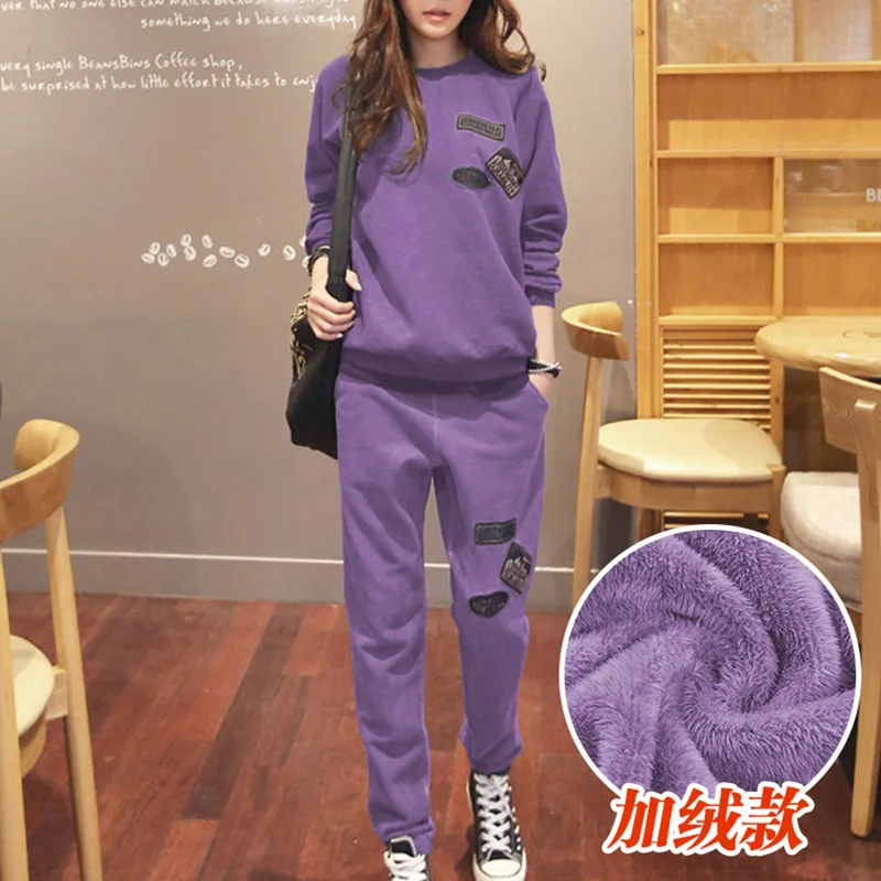 Purple Winter S-6XL, женская спортивная одежда, спортивные костюмы, весна, осень, зима, повседневные, плюс бархат, Толстая Толстовка+ штаны, комплекты для женщин размера плюс - Цвет: Purple Winter
