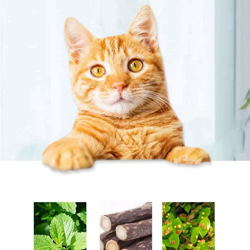 Necklace Shaped Cat Chew Toy Catnip Silvervine String For Pet Interactive Supplies Kitten Teeth Cleaning | Дом и сад