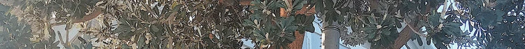 Корейское модное осенне-зимнее платье-свитер женское Повседневное платье с капюшоном длинный рукав с разрезом сбоку длинный с капюшоном ребристый трикотажный платье