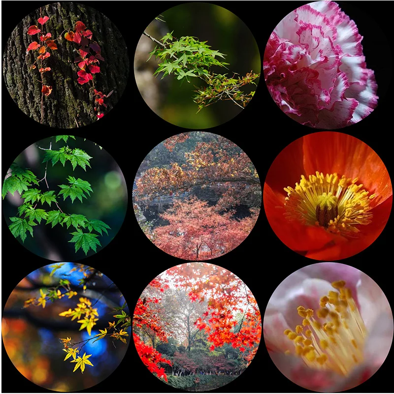 

FLTMRH Red Maple Leaf Glass Cabochon Eyes 6MM-30MM Toys DIY Jewelry Accessories