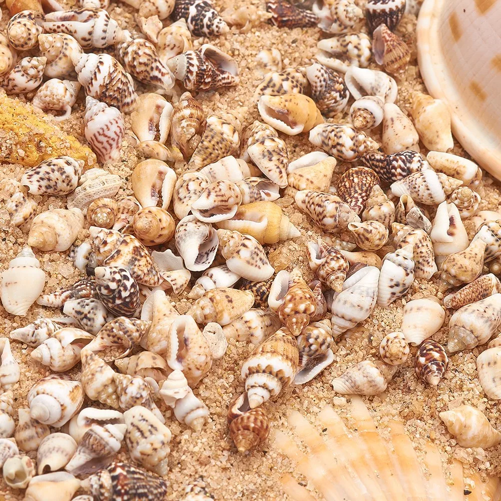 

Hot selling shell accessories DIY material porous natural shell small whelk lemon color
