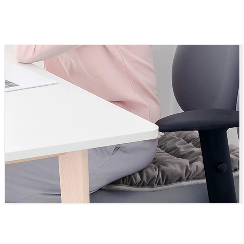 

10W Electric Heating Pad Cushion Chair Car Pet Body Winter Warmer Blanket Comfortable Cat Dog Temperature Adjustable