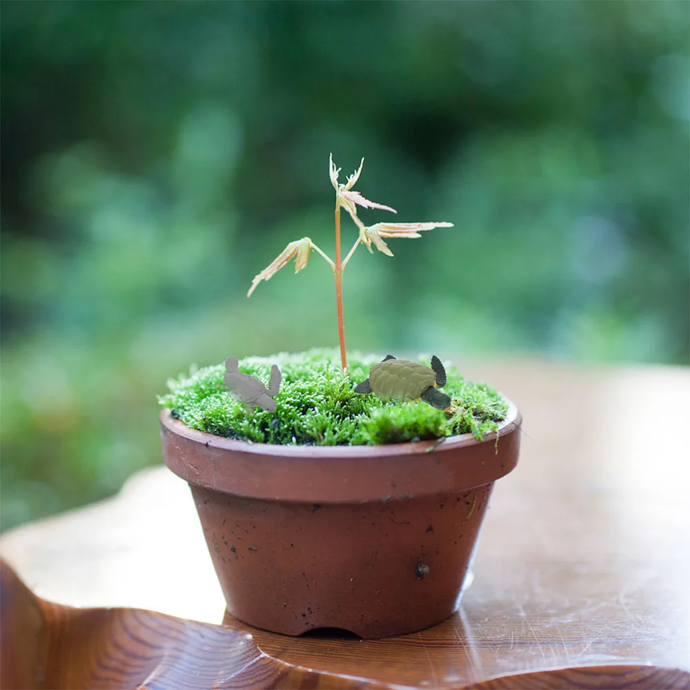 

4 Sets Butterflies Rooster Frogs and Turtle Growth Cycle Models Kids Toys