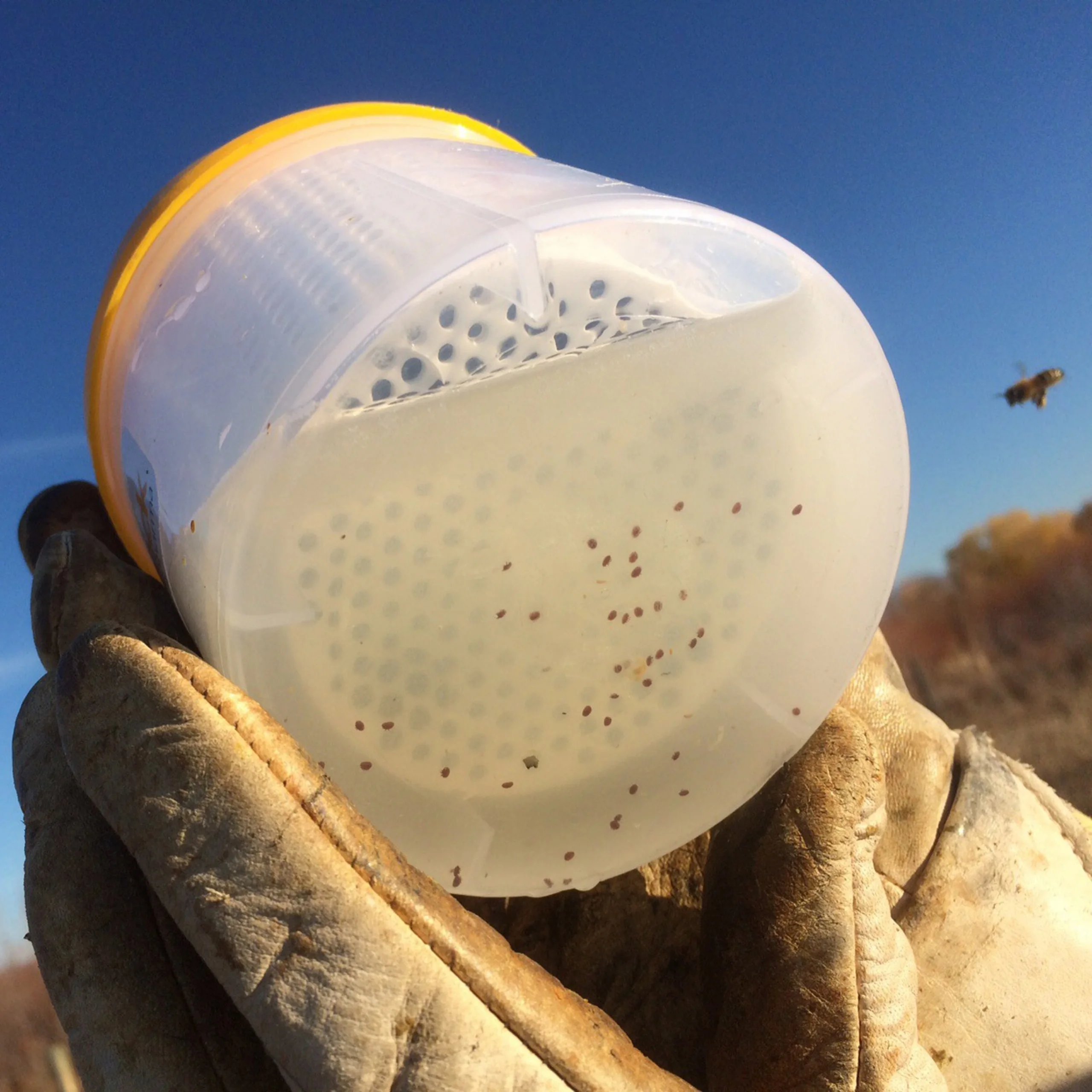 Beehive Varroa шейкер для проверки удобный в использовании измерения фотометра