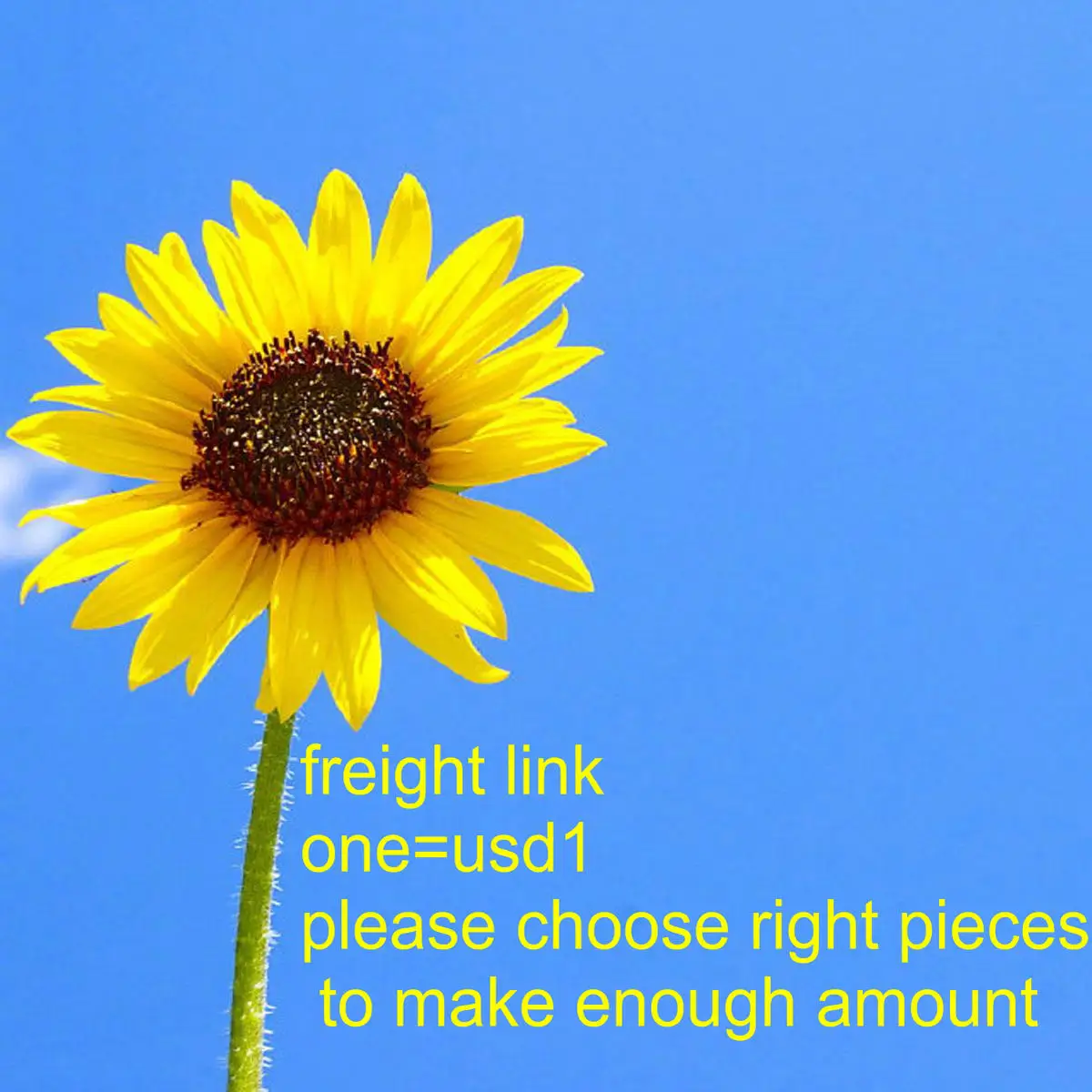 Эта ссылка предназначена для дополнительной перевозки особенно некоторых