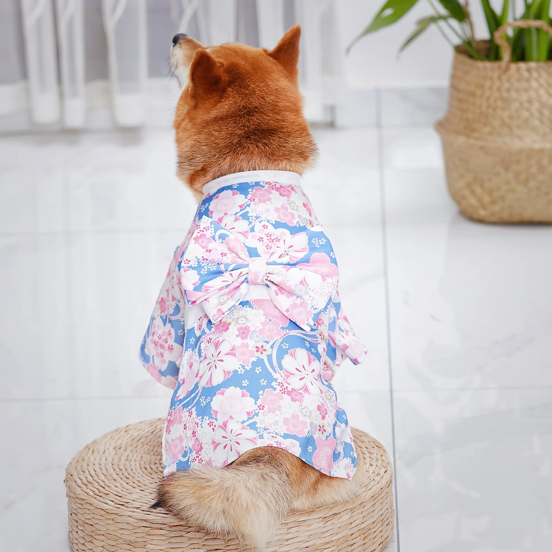 

Cat Pet Dog Japanese and Wind Clothes Crane Net Red Autumn and Winter Corgi Teddy Shiba Inu Small Clothes Cherry Puppy Clothes