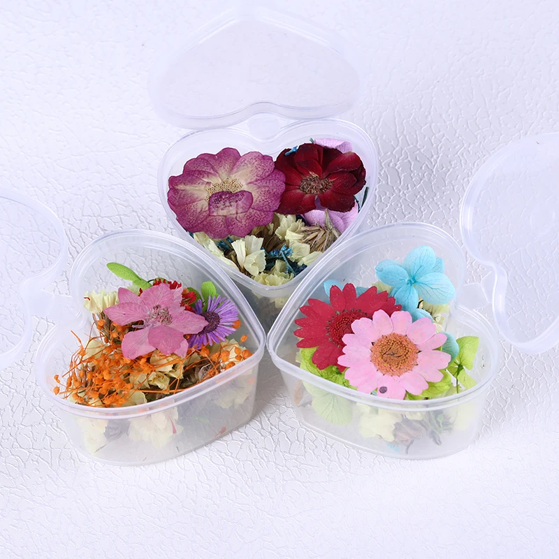 1 коробка сушеные цветы розовый белый желтый консервированные смешанные цвета