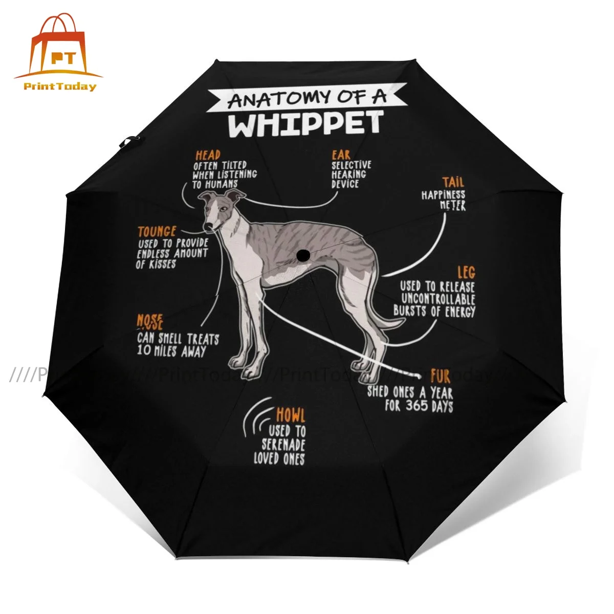 

Greyhound Umbrella Beautiful Reinforced Umbrella Painting Tours Wind Proof Automatic Umbrella