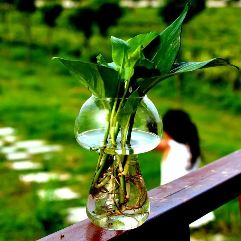 

Garden Deocr 8x8x12cm Glass Mushroom Shaped Modern Style DIY Hot Flower Holder Mushroom Vase Home Container Bottle Transparent